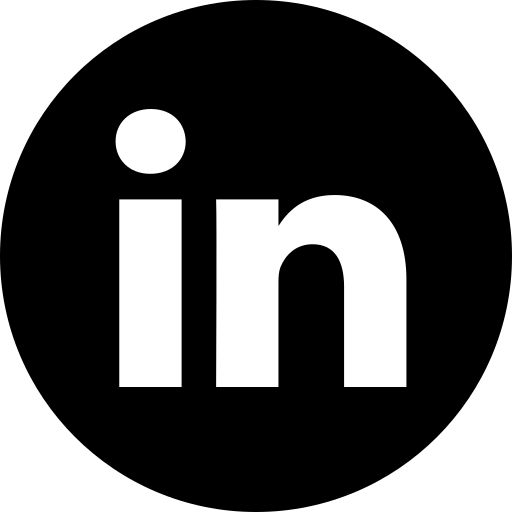 Developer's LinkedIn Profile